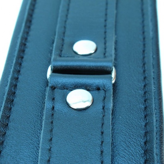 Ошейник из гладкой кожи - БДСМ Арсенал - купить с доставкой в Москве