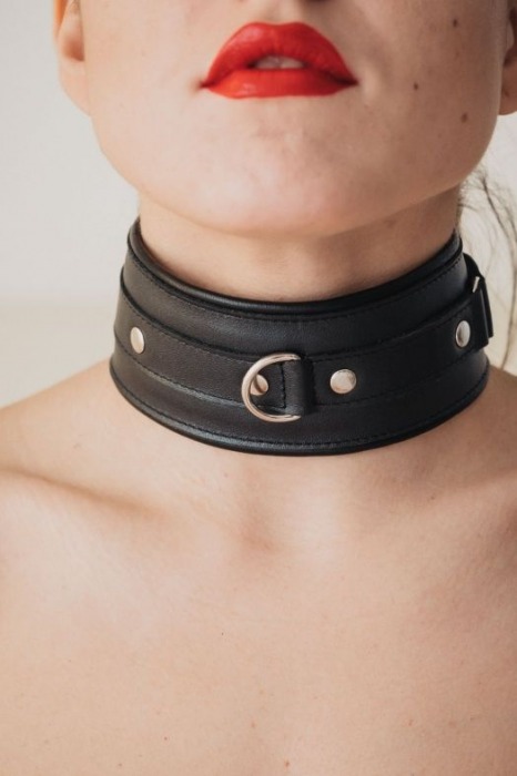 Ошейник из гладкой кожи - БДСМ Арсенал - купить с доставкой в Москве