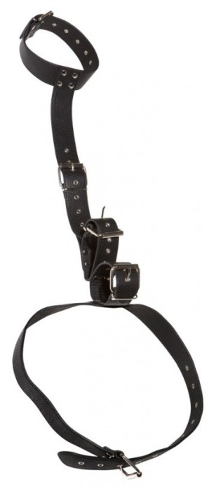Фиксация на шею и запястья Bad Kitty Neck and Hand Restraints - Orion - купить с доставкой в Москве