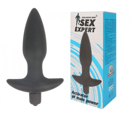 Анальная пробка Sex Expert с вибрацией - 10,5 см. - Bior toys