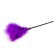 Фиолетовая щекоталка Feather Tickler - 44 см. - EDC - купить с доставкой в Москве