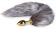 Золотистая анальная пробка с серым пушистым хвостом Fox Tail Plug - Easy toys - купить с доставкой в Москве