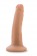 Телесный фаллоимитатор на присоске 5.5 Inch Cock With Suction Cup - 14 см. - Blush Novelties