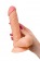 Телесный фаллоимитатор Lorn - 20 см. - ToyFa купить с доставкой в интернет-магазине Orgasmix в Москве Телесный фаллоимитатор Lorn - 20 см. - ToyFa