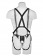 Страпон-система с телесной насадкой 10  Hollow Strap-On Suspender System - 25 см. - Pipedream - купить с доставкой в Москве